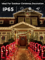 Load image into Gallery viewer, LED Solar Sign Light Christmas Decoration Candy Cane
